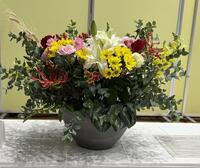 IMG_0484-cleaned
